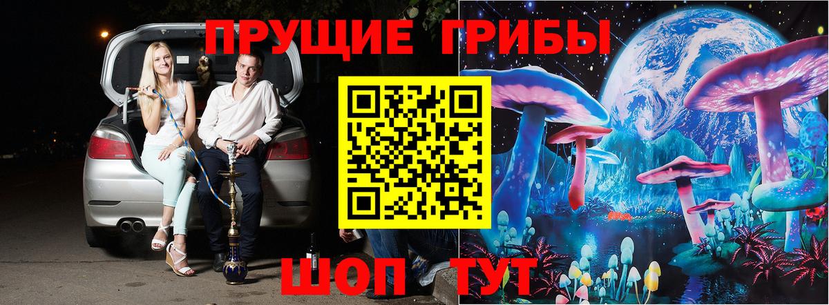Псилоцибиновые грибы Psilocybine cubensis Алушта