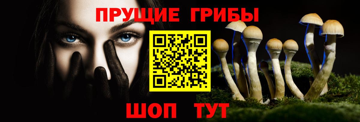 Псилоцибиновые грибы ЛСД  Галлюциногенные грибы ЛСД  Вход с VPN  Алушта 